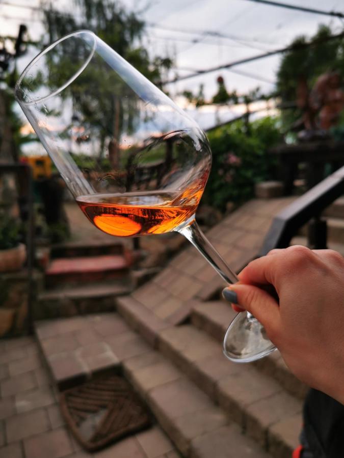 Turisticna Kmetija Hlebec Villa Kog Luaran gambar